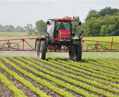 Postemergence Applications in Dicamba-Tolerant Soybeans